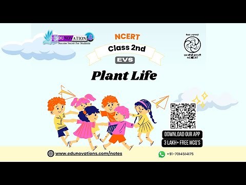 Plant Life | NCERT Class 2 EVS