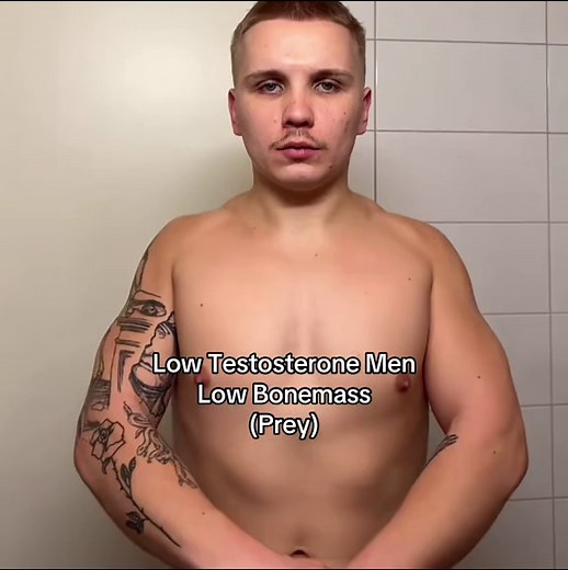 Testosterone & Bone Mass: Hunter vs. Prey Physique