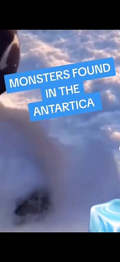 Monster or alien found frozen in Antarctic ICE #alienz #area51 #viraltiktok #viralvideo #ufos #ufocommunity #uaptiktok #ufoキャッチャー #antartica #aliensight2024 #aliensighting #aliensightings #flatearth #snow #icewallantartica #water #ocean #monster #creature #frozen #ice #demons #demond #alienantarctica #viralvideo #viral_video #viralvideos