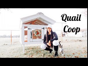 DIY Quail Coop || How to Build A Quail Coop || Quail Coop Design