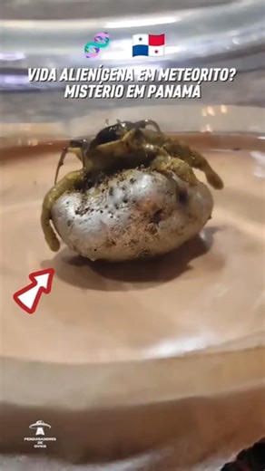 The guy created an alien in his house!