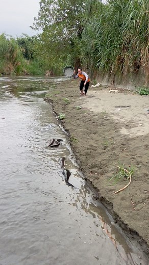 1.6M views · 5.8K reactions | Catfish spotted | Ran Olivares | Facebook