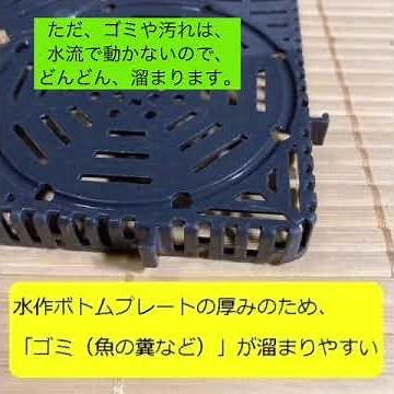 [Aquarium] Results of considering whether or not to use a Suisaku bottom plate (including disadva...