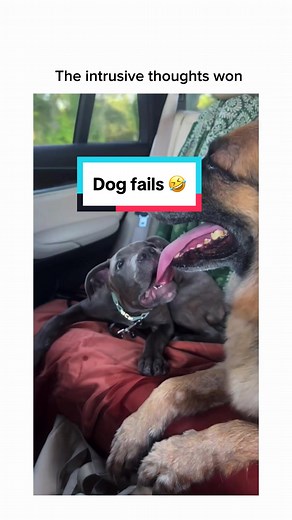 Freshly.Pressed on TikTok