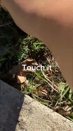 How to touch grass
