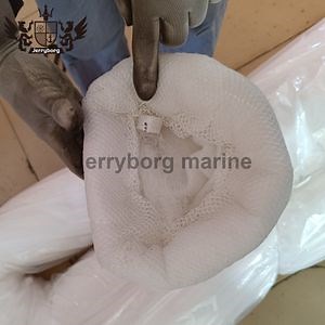 [Hot Item] Oil Absorbent Boom for Comprehensive Spill Recovery Flexible Oil Absorbent Boom