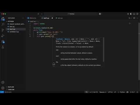 I Made a Python Guessing Game in the Terminal (0–100)