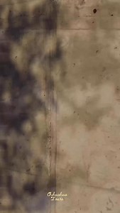 Ahora nos toco llevar a nuestros amigos de Taiwán 🇹🇼 a la cd. de México, un viaje que nos dejó muchas vivencias y visitamos los lugares más emblemáticos de la Ciudad 🌆 les dejamos este videito ☺️👊🏼 | Chihuahua Tours