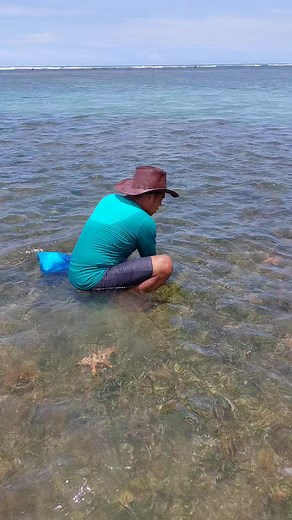 Sea Shells #catching #fishing #catchingfish #shells #seafoods | Edd Sohail