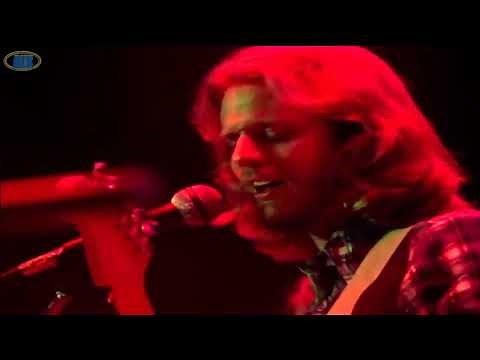 The Eagles - New Kid In Town