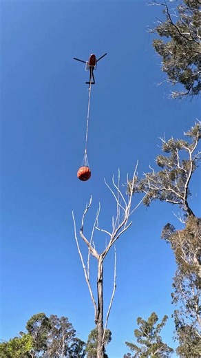 NSW National Parks on Instagram: "🔥Target acquired 🔥 Precision is key in aerial firefighting💪🧑‍🚒. Ahead of the upcoming bushfire season, our aviation crews practised essential firefighting skills in Mogo, on the NSW south coast near Batemans Bay. Our pilots, aircrew and aviation specialists carried out emergency exercises including water bucketing, which involves scooping water into a huge ‘bucket’ suspended from a helicopter and releasing it over a target. This technique helps suppress fla