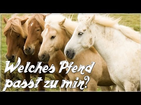 Welches Pferd passt zu mir? ♥ Anita Girlietainment