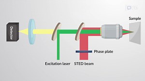 Video: Super-resolution Fluorescence Microscopy