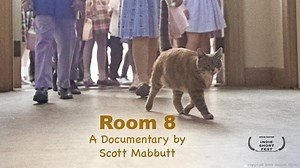 Room 8