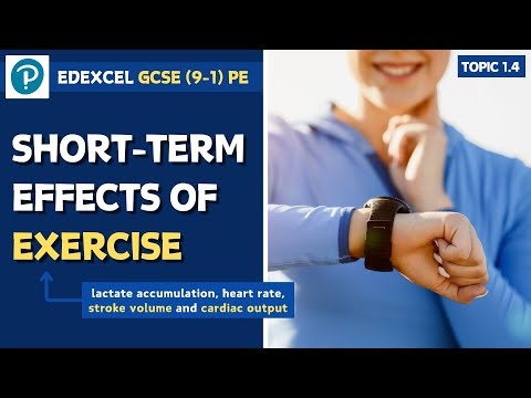 Edexcel GCSE PE - Short-Term Effects of Exercise - muscular and cardiovascular systems (1.4)
