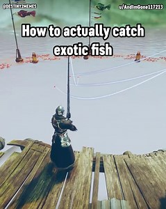 How to actually catch exotic fish | Destiny 2 Memes