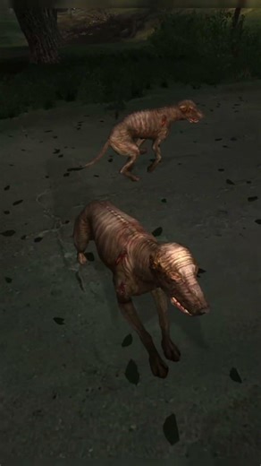 How to Handle Vicious Neighbor Dogs Like a True Stalker ☢️🐶 #legendreturns #stalkeranomaly #stalker