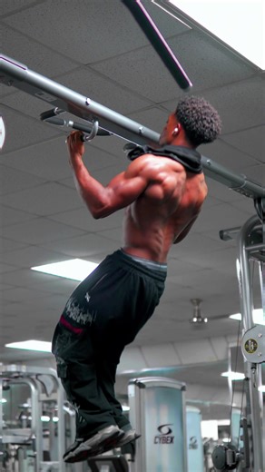 Effective Back Workouts for Aesthetic Physique