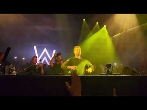 Alan Walker Live at LIV Nightclub Las Vegas 2024.07.20