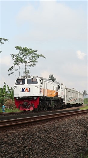 Kereta Api Ranggajati di jalur persawahan - VIDEO KERETA API #keretaapi