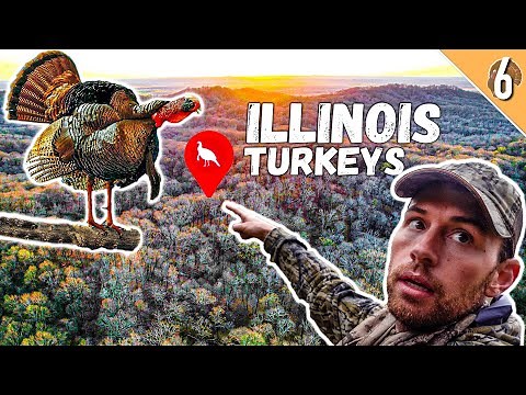 ILLINOIS SPRING TURKEY HUNTING - (Finding GOBBLERS on New Areas!!)