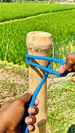 One Precious Knot That Never Fails , Most People Don't Know!