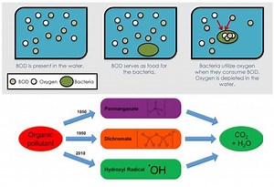 What is the difference between chemical oxygen demand COD and biological oxygen demand COD? [2025] | QAQooking.wiki