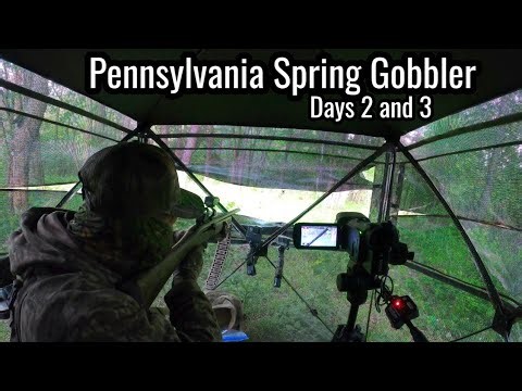 Pennsylvania Spring Gobbler, Days 2 and 3