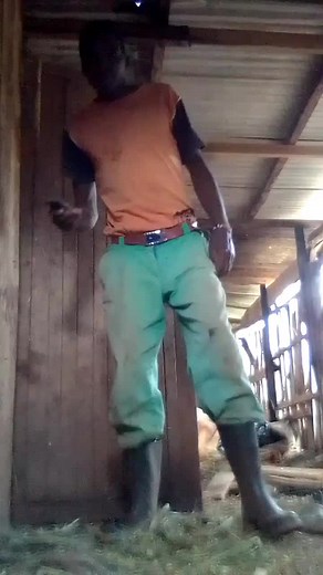 BOINDET STARS (@boindet_stars)’s videos with original sound - BOINDET STARS