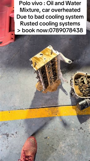 Polo vivo : Oil and Water Mixture, car overheated Due to bad cooling system Rusted cooling systems > book now:0789078438#CapCut #fypシ゚viral🖤tiktok #creatorsearchinsights #foryoupage #fypシ゚