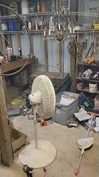 How did I end up with a skunk problem? #Scrap-Life #recycle #recycling #wild #animal #skunk #problem