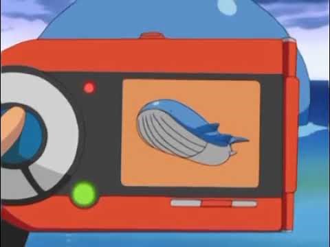 Wailord Pokédex Entry
