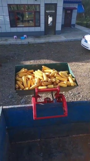 #automobile #foodproduction #foodbusiness #agriculture #foodindustry #farm #foodsector #farmlife