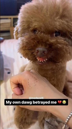 Why Would He Do This To Me 💔