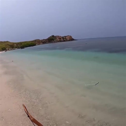 Cavy Fishing on Reels