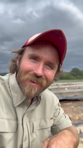 🚨 **URGENT: Darnell Farms Needs Your Help!** 🚨Our beloved farm has been hit by the most devastating flooding we’ve ever seen due to Hurricane Helene. This disaster has wiped out over $50,000 in strawberry plants and put our future operations at risk. 😔Darnell Farms isn’t just a farm; it’s a community hub that provides full-time jobs for 30 people and hosts events for families all over Western North Carolina. This is our busiest season, and the loss of cash flow is a huge blow.We need your hel