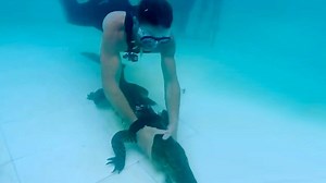 350K views · 240 shares | In order to provide medical treatment for crocodiles, Jay Young, manager of the U.S. Colorado Gators Reptile Park, takes on the challenge of capturing a 1.7-meter-long crocodile with his bare hands in an episode of "Impossible Challenge." Will he complete the challenge? | CGTN | Facebook