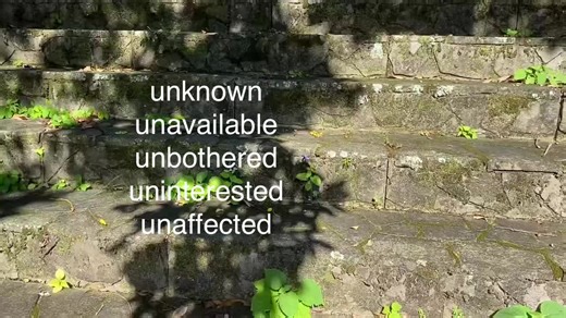 Exploring the Art of Being Unbothered