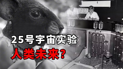 毛骨悚然的25号宇宙实验：人造天堂里，鼠类560天后走向灭亡