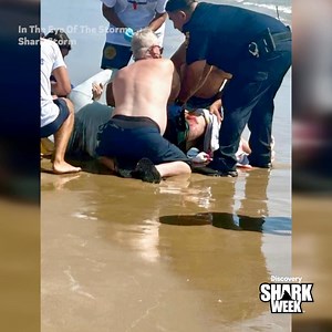 170K views · 1.8K reactions | Shark attacks surged along the Gulf Coast in summer 2024, and it was all caught on camera  Don't miss In The Eye Of The Storm: Shark Storm when #SharkWeek begins this Sunday on Discovery | Shark Week | Facebook
