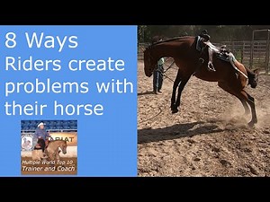 Everyone does one of these things to their horse.