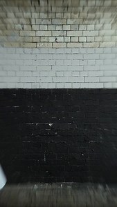 31K views · 41 reactions | New Irongate Shield Logo | Trapstar London | Facebook