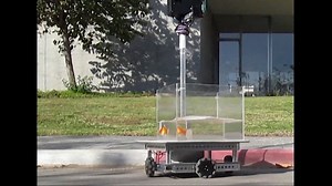 Video. Israeli researchers claim to teach goldfish to drive a vehicle