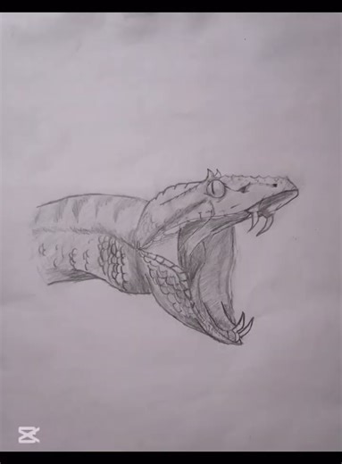 A Snake # Reptile Sketch