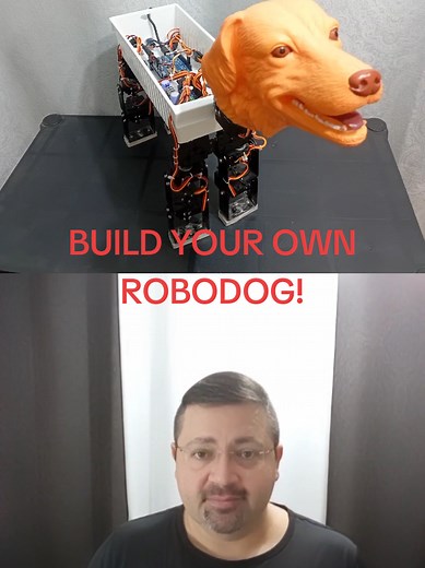 Build Your Own RoboDog: A Hands-On Engineering Project