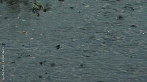 Close-up of water drops falling and splashing on the ground during rain, highlighting the texture and movement of the water and surface.