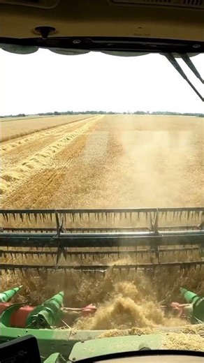 Vlog || A Real Day on a Wheat Farm P5 || First Cut of the Wheat 🌾