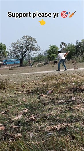 #viralvideo #fastbowler #cricketplayer #cricketlover #trendingshorts pahele bata ke six mara bhai n