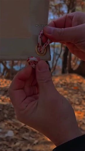 tying up a tarpaulin or camping tent #knot #video #rope #shorts