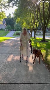 This service dog is seeing her owner walk for the first time 😭🐶🥰 Have a video that could go viral? Use our website to submit your clip! #ViralHog #Disability #FeelGood | ViralHog